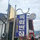 목화반점 이미지
