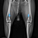 용인서현 동물병원 이미지