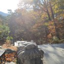 팔공스테이 이미지