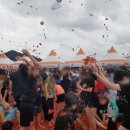 웰리힐리파크 관광단지 이미지