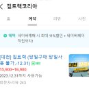 대천여행, 대천짚라인 짚트랙코리아 후기