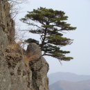 의성 금성산(530.1m)/비봉산(671.8m) - 5시간 산행기 이미지