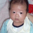 서은 Daum카페