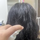 홀링헤어