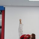 청일백호태권도 이미지