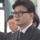 한동훈 "닭 모가지를 비틀어도".. 홍준표 "YS 어록 더럽히지 마라" 이미지