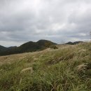 봉의목장 이미지