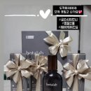 보타랩헤어 이미지