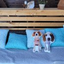 별빛나라펜션 | [강원도] 강릉 펜션 강릉씨엘 나만 알고 싶은 강릉숙소(내돈내산)