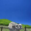 강원화원 이미지