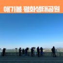 장애인사회발전협의회 화성시협의회 | 경기 김포 가볼만한 곳 북한을 볼 수 있는 애기봉평화생태공원 전망대 스타벅스 셔틀버스 정보