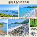 호수공원8 호수소풍숲, 푸른들판 사이 | [전라도 여행] 뚜벅이 혼자 떠나는 감성 여행 코스 BEST 19: 전북 &amp; 전남 총정리