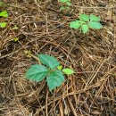 (주)태호 이미지