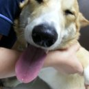 두리동물병원 이미지