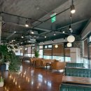 오이도 방파제 칼제비 이미지