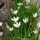 사랑의집 이미지