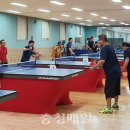 영동군민탁구장 이미지