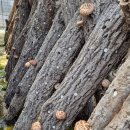 재열농장 이미지