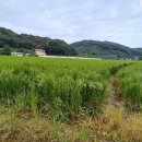 보덕2리마을회관 이미지