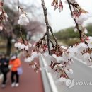 수양 이미지