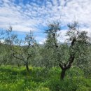 하늘농장4 이미지