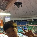 한국체대 태권도 잠실 체육관 이미지