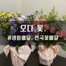 오다, 꽃 네이버블로그