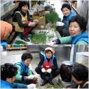 박순자농장 이미지