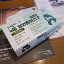 일회용 덴탈마스크 국산 4중구조 그린비 25매입 사용 후기(중국산과 비교)