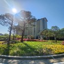 단국대학교 스포츠과학대학원 | 단국대학교 과학기술정책융합학과 대학원 기록_06.춘계학술대회