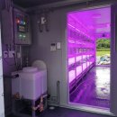 [다이음] 도시농업과 치유원예 | 미래농업 스마트팜의 개념·구조·국내 업체 사례, 재배기까지 한 번에 정리