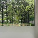 버거 비긴(burger begin)