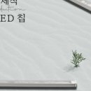 엘이디존