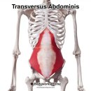 어반 피티 스튜디오 이미지