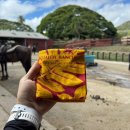 툴라스 | 🇺🇸나홀로 하와이 2일차 - Zippy&#39;s / 쿠알로아랜치 / 레오나즈베어커리 / 울프강