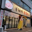 양지초등학교정문 앞 이미지