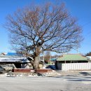 주봉보건진료소 이미지