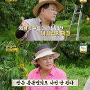 동업 농장 이미지