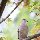 현대산업아파트 이미지