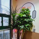 판타스틱코인노래연습장제주일도동문점 이미지