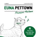 은아 펫 타운 이미지