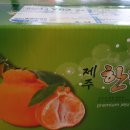 준이네농장 이미지