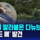 가뭄 이미지