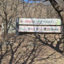 쉬자파크 | 경기도 가볼 만한 곳 양평쉬자파크 겨울 방문 후기