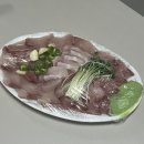 대포항회집 이미지