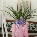 대운건설(주) Daum카페