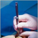 다담치과의원 이미지