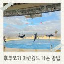 마린수중 | 후쿠오카 마린월드 우미노나카미치 JR 가는 법 입장권 돌고래쇼