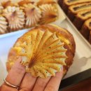 초리골 제빵소 | [파주 카페] 애견동반 카페 &#34; 초리골 제빵소 &#34; 내돈내산