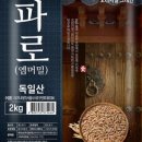 파로(FARRO)